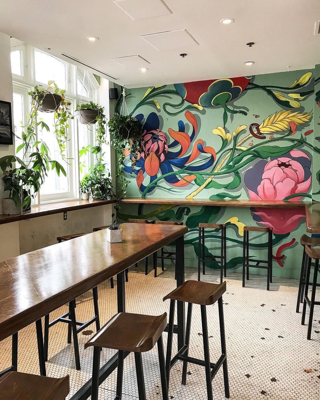 Decorative Murals